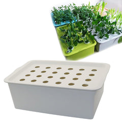 24 Holes Plant Site Hydroponic Kit Garden Pots Planters Seed - Gardening Land