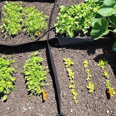 8 - grid Vegetables Grow Nursery Basin Thickened Felt Planting Bag - Gardening Land