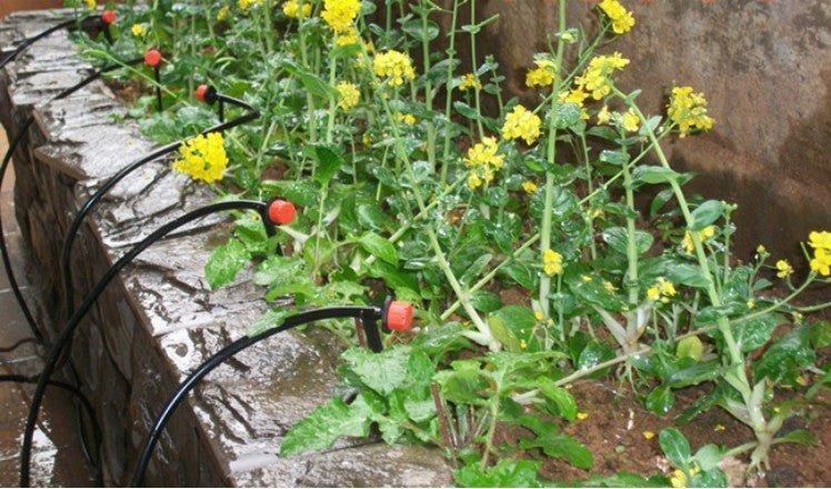 94pcs a set Household watering sprinkler - Gardening Land