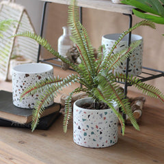 Balcony succulents round flower pots - Gardening Land