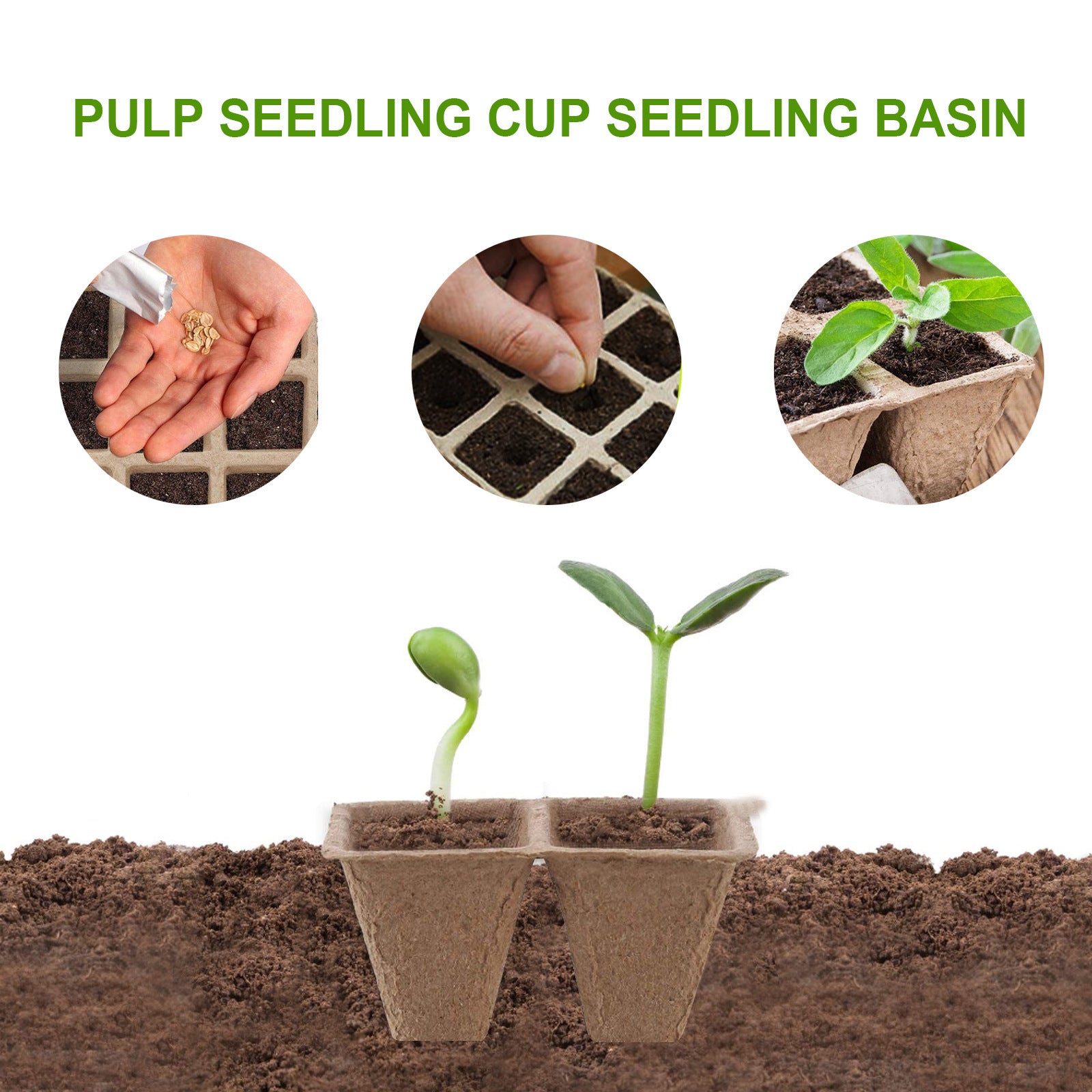 Biodegradable Eco - Friendly Pulp Seedling Nursery Pots 12 - Hole - Gardening Land