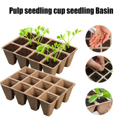 Biodegradable Eco - Friendly Pulp Seedling Nursery Pots 12 - Hole - Gardening Land