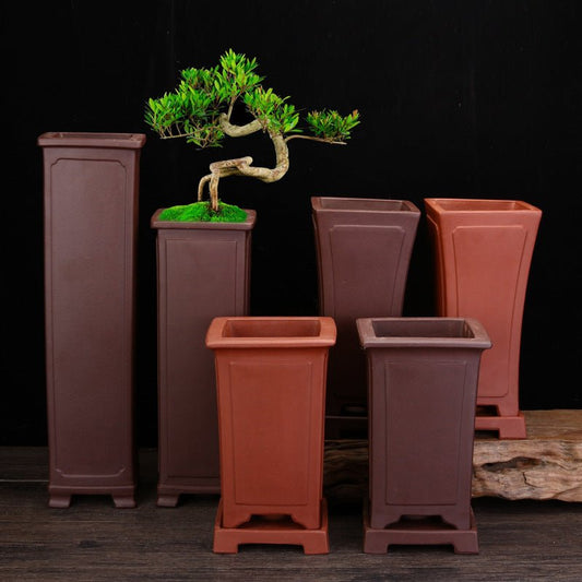 Ceramic Zisha Orchid Pots Indoor Elegant - Gardening Land