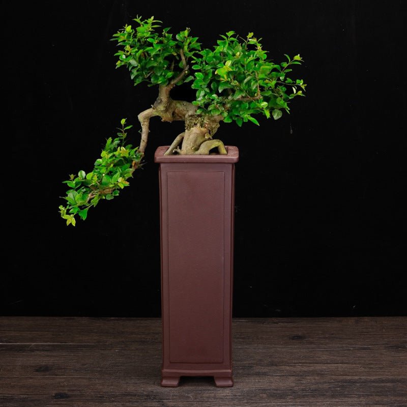 Ceramic Zisha Orchid Pots Indoor Elegant - Gardening Land