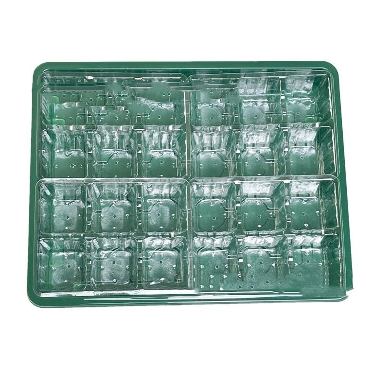 Cutting Seedling Box Heightening Large Space Nursery Box Transparent - Gardening Land
