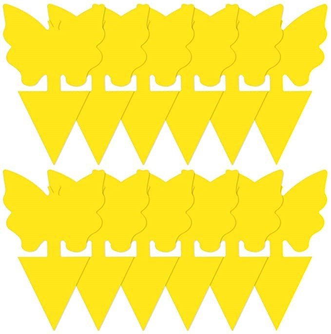 Double - sided waterproof sticky pest control board - Gardening Land