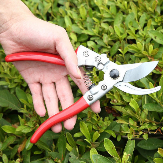 Gardening Scissors Pruning And Fruit Picking - Gardening Land