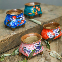 Hand - painted succulent ceramic pots - Gardening Land