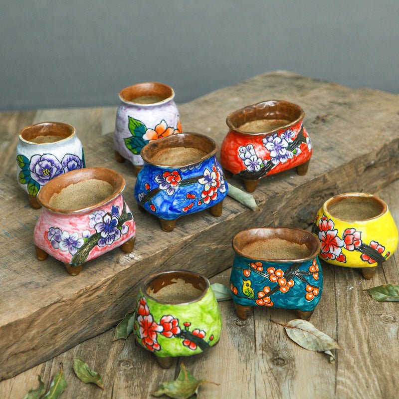 Hand - painted succulent ceramic pots - Gardening Land