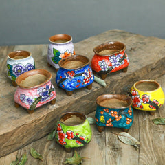 Hand - painted succulent ceramic pots - Gardening Land