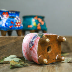 Hand - painted succulent ceramic pots - Gardening Land