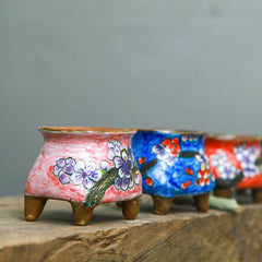 Hand - painted succulent ceramic pots - Gardening Land