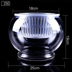 Household plant pots - Gardening Land