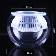 Household plant pots - Gardening Land