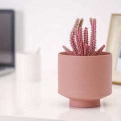 Indoor Succulent Pots Ceramic Planters Garden Flower - Gardening Land