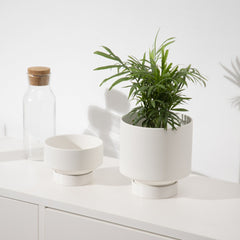 Indoor Succulent Pots Ceramic Planters Garden Flower - Gardening Land