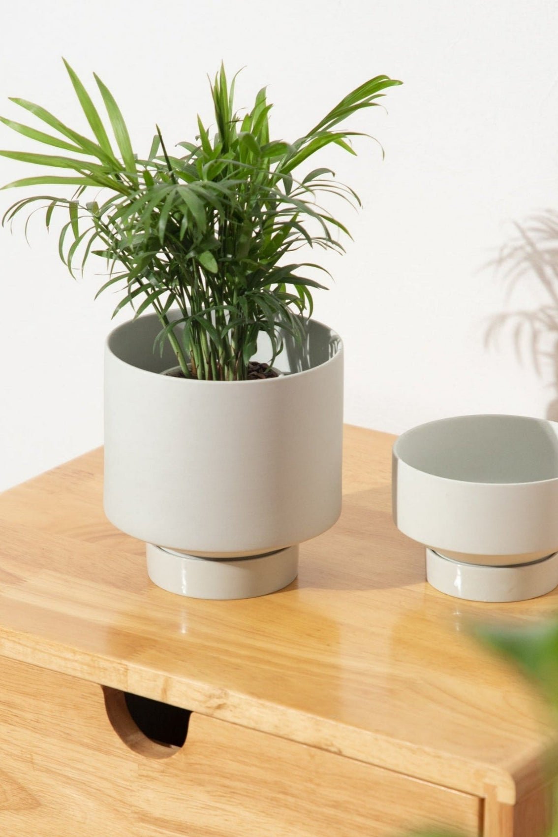 Indoor Succulent Pots Ceramic Planters Garden Flower - Gardening Land