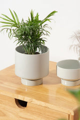 Indoor Succulent Pots Ceramic Planters Garden Flower - Gardening Land