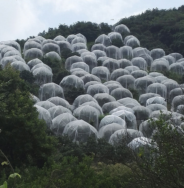 Net Insect Net Fruit Tree Pest Control Plant Protection Cover - Gardening Land