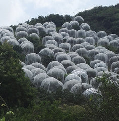 Net Insect Net Fruit Tree Pest Control Plant Protection Cover - Gardening Land