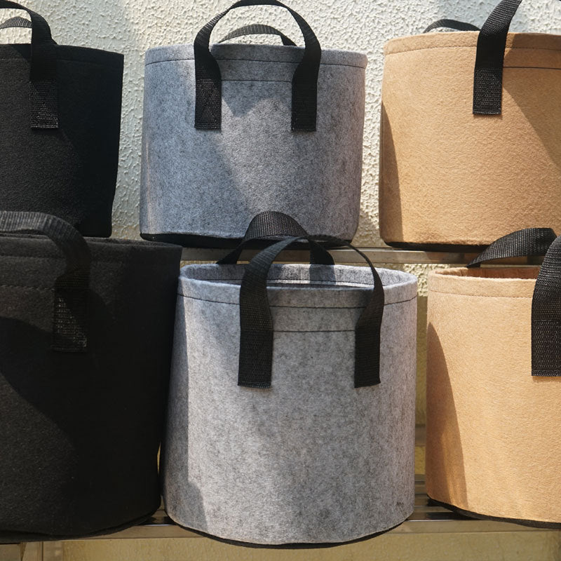 Nutrient plant bag in nursery box - Gardening Land