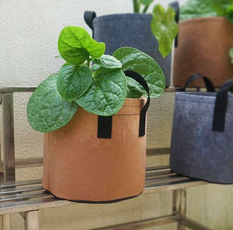 Nutrient plant bag in nursery box - Gardening Land