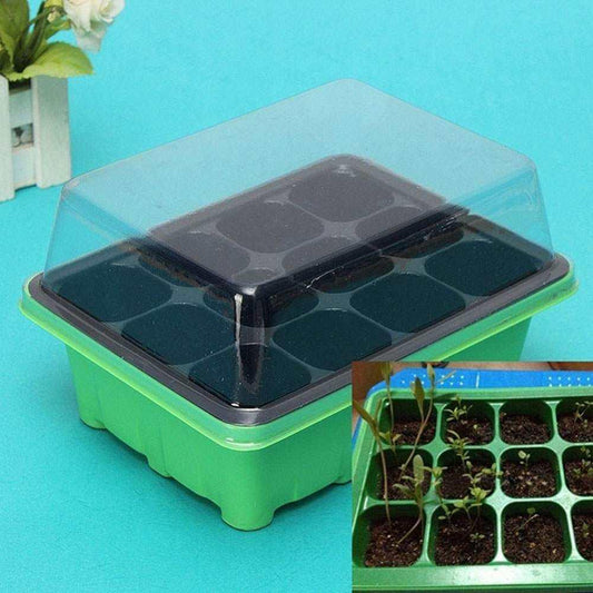 Plastic Nursery Pots Succulent Plant Seeds Germination Tray - Gardening Land