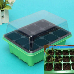 Plastic Nursery Pots Succulent Plant Seeds Germination Tray - Gardening Land