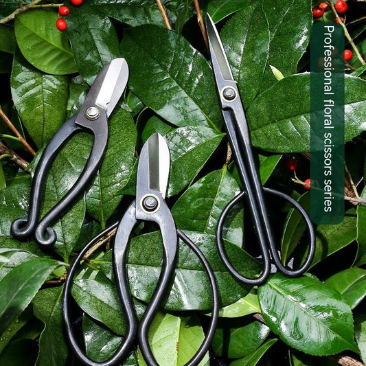 Professional Floral Scissors Flower Road Garden Gardening Tools - Gardening Land