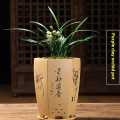 Purple Sand Orchid Pots With Tray - Gardening Land