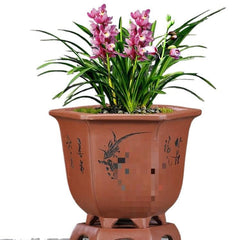 Purple Sand Orchid Pots With Tray - Gardening Land