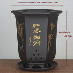 Purple Sand Orchid Pots With Tray - Gardening Land