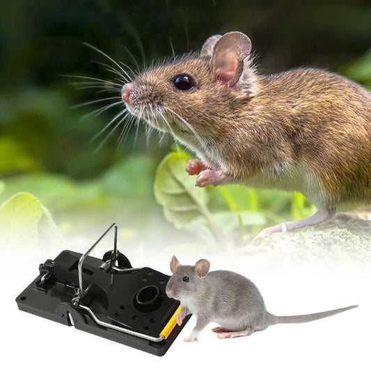 Rat Capture Rat Traps Durable Mouse Traps For Household Home&Living Pest Control Bait Snap - Gardening Land