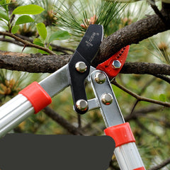 Small Scissors With Aluminum Handle Garden Pruning Garden Tools - Gardening Land