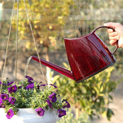 Transparent Watering Can For Gardening And Watering - Gardening Land