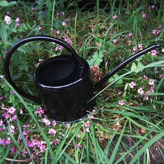 Watering Iron Sheet Watering Pot Gardening Garden Greening Vegetable Garden Large Capacity Kettle - Gardening Land