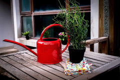 Watering Iron Sheet Watering Pot Gardening Garden Greening Vegetable Garden Large Capacity Kettle - Gardening Land