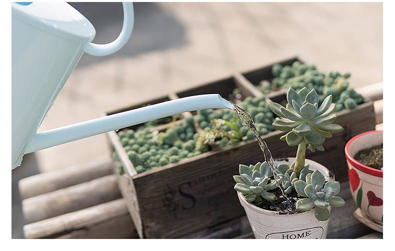 Watering Long Mouth Plastic Watering Can - Gardening Land