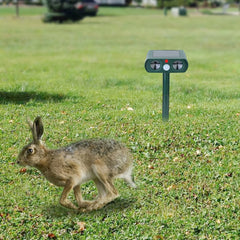 Animal Repellent, Solar Motion Sensor, Outdoor Farm, Garden, Courtyard Solar Power Ultrasonic Animal Repeller Pest Repellent Dog Cat Deer Raccoon - Gardening Land