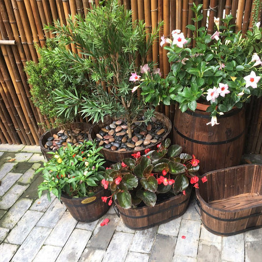 Antiseptic Preservative Wood Pots Oval - Gardening Land
