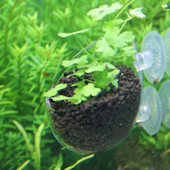 Aquatic Plant Nursery Pot Aquatic Plant Cultivation Cup - Gardening Land
