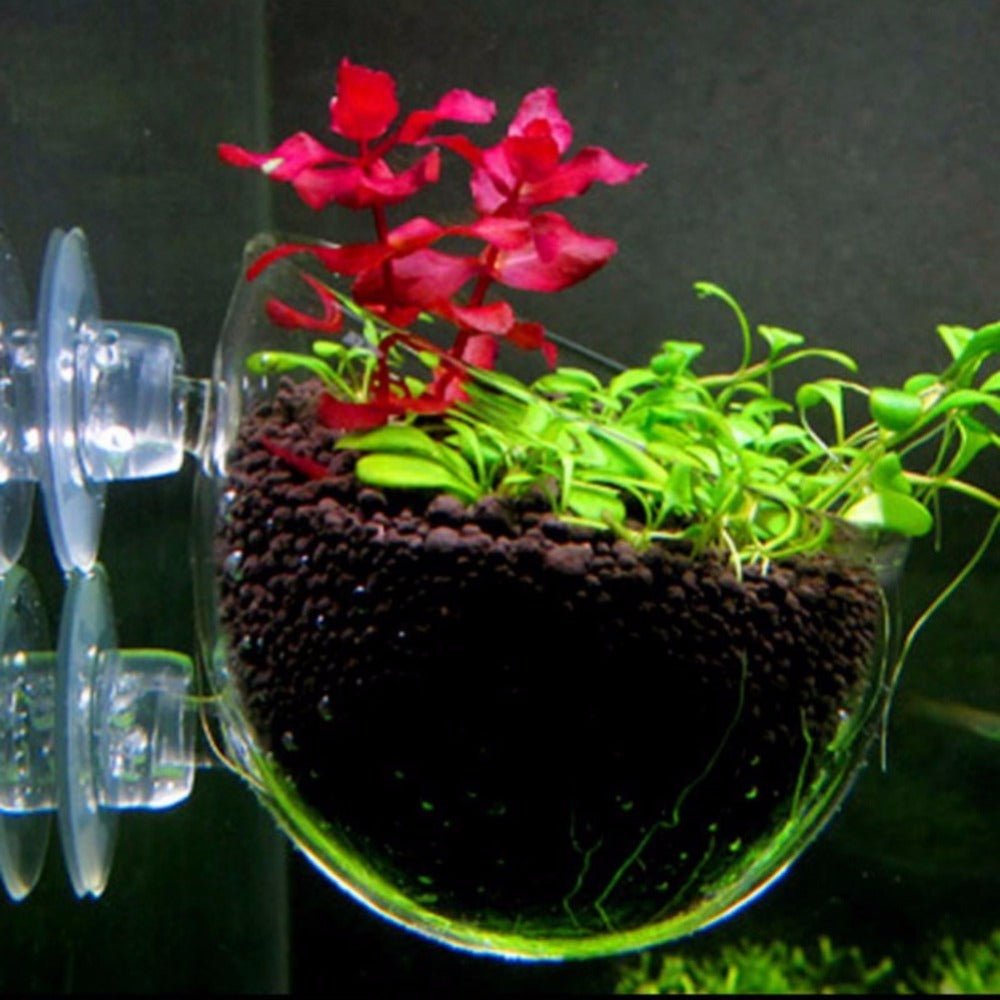 Aquatic Plant Nursery Pot Aquatic Plant Cultivation Cup - Gardening Land