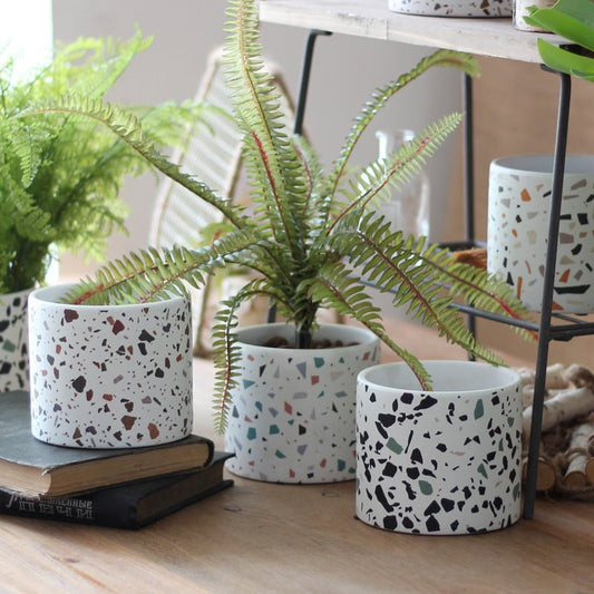 Balcony succulents round flower pots - Gardening Land