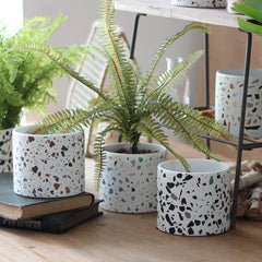 Balcony succulents round flower pots - Gardening Land
