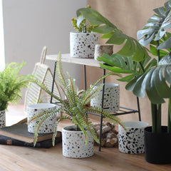 Balcony succulents round flower pots - Gardening Land