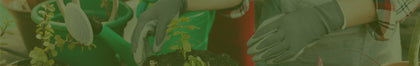 Gardening Land