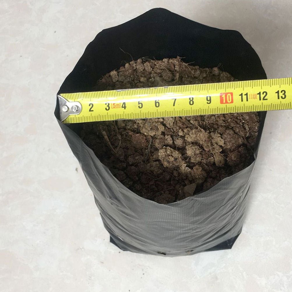 Flower nursery nutrition bag - Gardening Land
