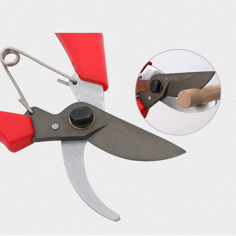 Garden Tools Fruit Tree Gardening Scissors - Gardening Land