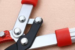 Gardening branches construction scissors - Gardening Land