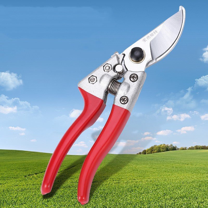 Gardening Scissors Pruning And Fruit Picking - Gardening Land